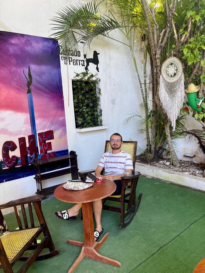 カンペチェ La Casa De La 12ホステル エクステリア 写真
